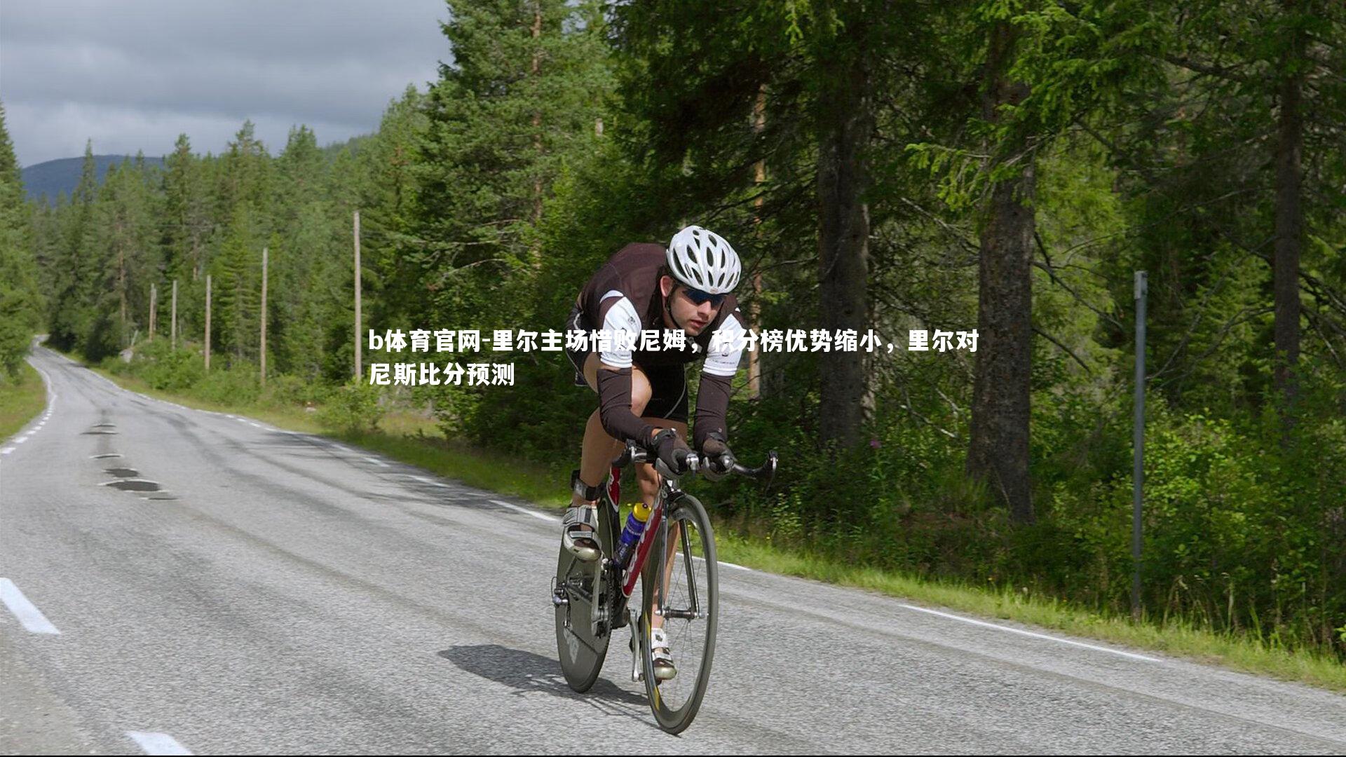 b体育官网-里尔主场惜败尼姆，积分榜优势缩小，里尔对尼斯比分预测