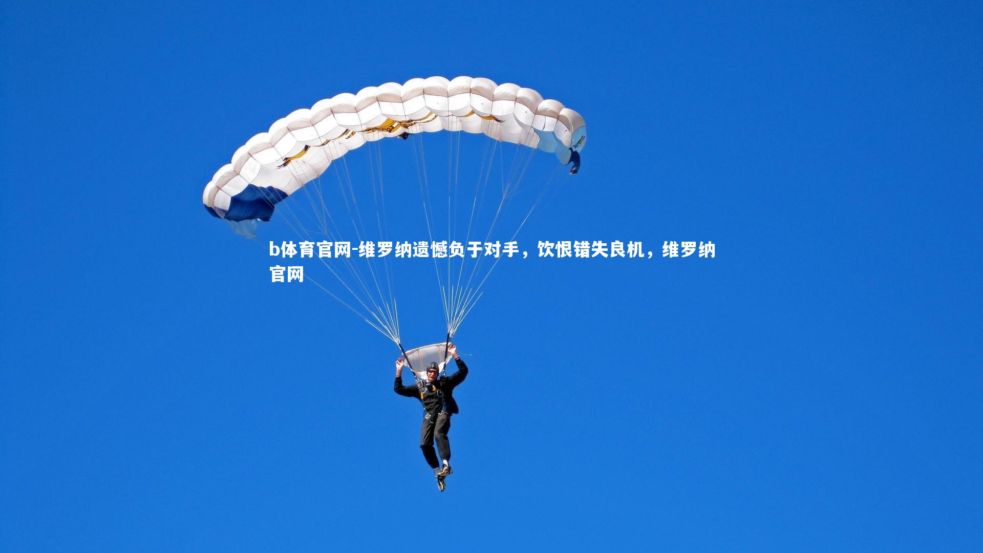 b体育官网-维罗纳遗憾负于对手，饮恨错失良机，维罗纳官网