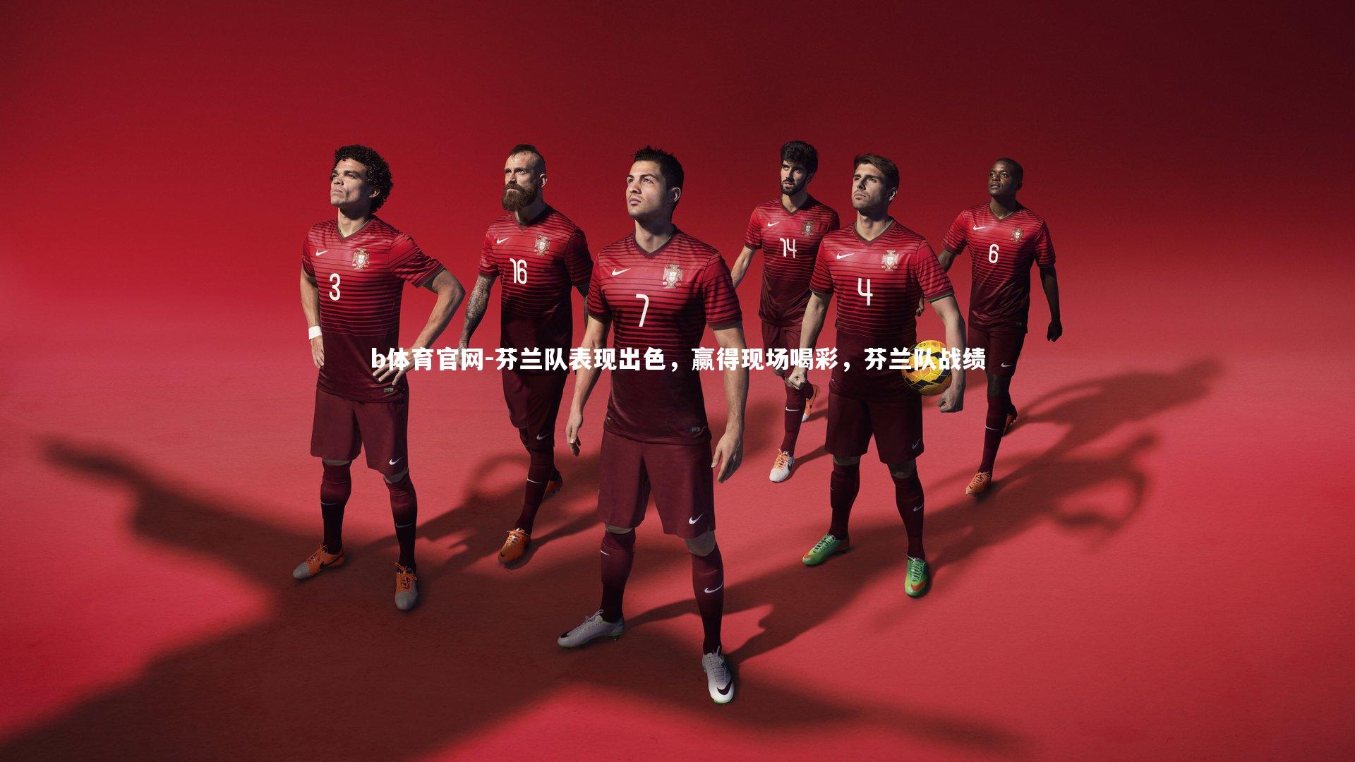 芬兰队表现出色，赢得现场喝彩，芬兰队战绩